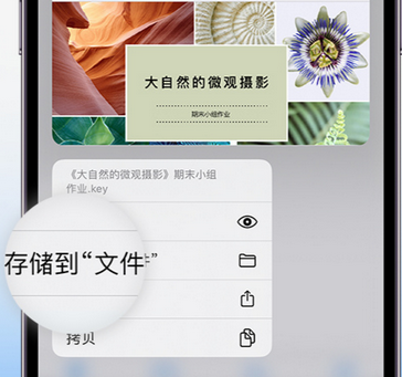 兴业apple维修中心分享iPhone文件应用中存储和找到下载文件