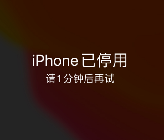 兴业苹果手机维修分享:iPhone 显示“不可用”或“已停用”怎么办？还能保留数据吗？ 