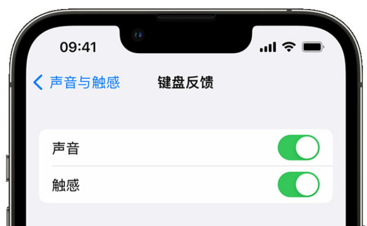 兴业苹果手机维修分享iPhone 14触感键盘使用方法 