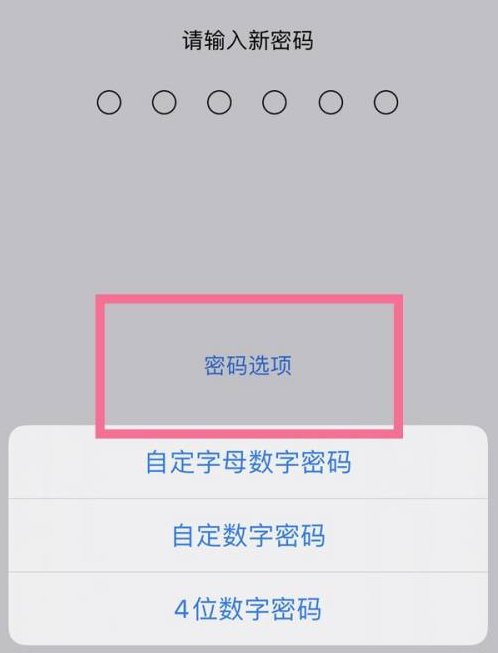 兴业苹果14维修分享iPhone 14plus设置密码的方法 