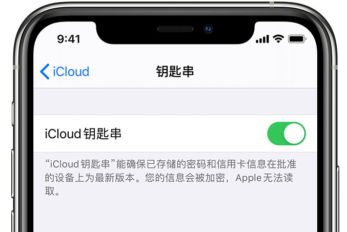 兴业苹果手机维修分享在 iPhone 上开启 iCloud 钥匙串之后会储存哪些信息 