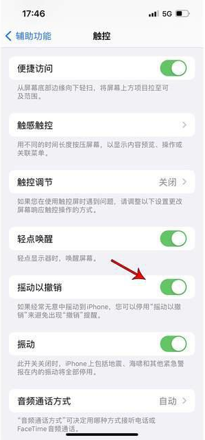 兴业苹果手机维修分享iPhone手机如何设置摇一摇删除文字 